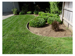 Before installing new mulch