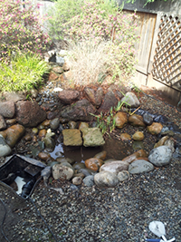 Small pond cleaning example
